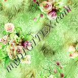 Colour:K