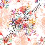 Colour:B