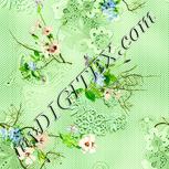 Colour:K