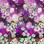 Colour:B