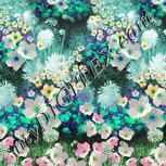Colour:C