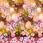 Colour:J