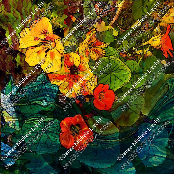 marbled nasturtiums print 2