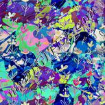 Colour:F