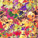 Colour:J