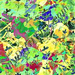 Colour:K
