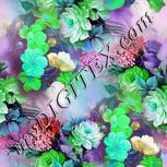 Colour:C