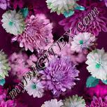 Colour:C