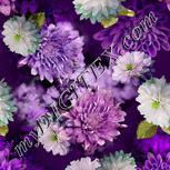 Colour:D