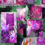 Colour:B