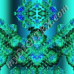 Colour:F