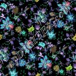 Colour:F