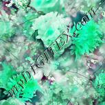 Colour:C