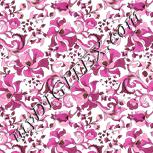 Colour:C