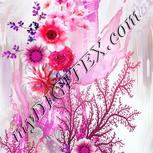 Colour:B