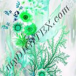 Colour:C