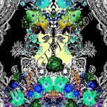 Colour:F