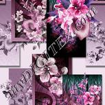 Colour:B