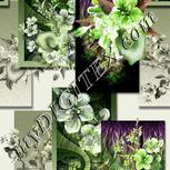 Colour:D