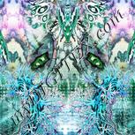 Colour:A