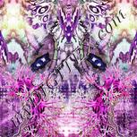 Colour:C