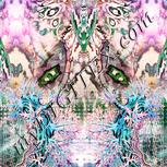Colour:J