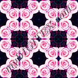 Colour:J