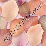 Colour:J
