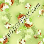 Colour:K