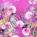 Colour:B