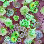 Colour:D