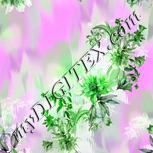 Colour:C