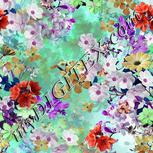 Colour:B