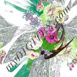 Colour:B
