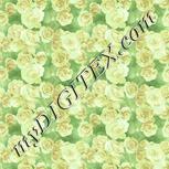 Colour:K