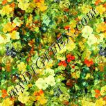 Colour:K