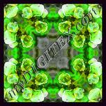 Colour:D