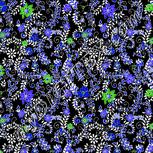 Colour:F