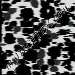Colour:F