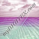 Colour:C