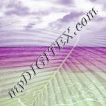 Colour:D