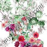 Colour:B