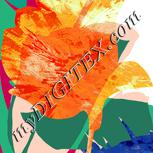 Colour:K