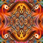 Colour:J
