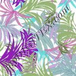 Colour:B