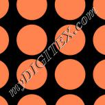 Colour:F