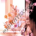 Colour:J