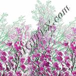 Colour:B
