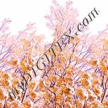Colour:J