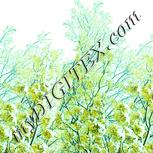 Colour:K